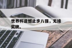金年会下载官方-世界杯遗憾止步八强，无缘奖牌。
